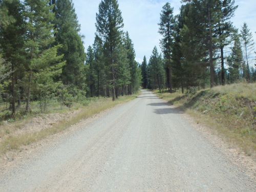 GDMBR: Heading south on NF-89 (from Lolo NF toward Ovando, Montana).